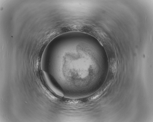 X0000088030235200705111203