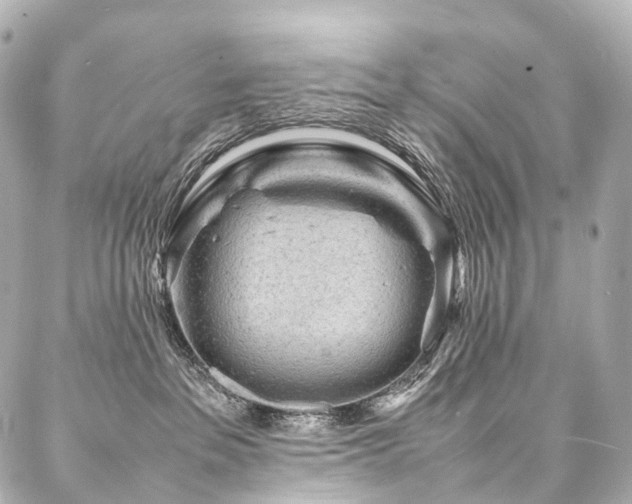 X0000088030237200705111203