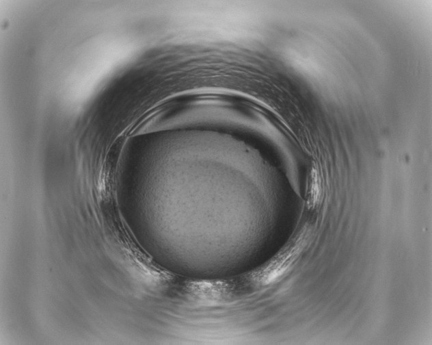 X0000088030239200705111203