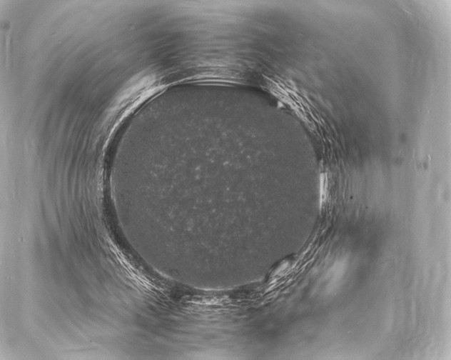 X0000088030243200705111203