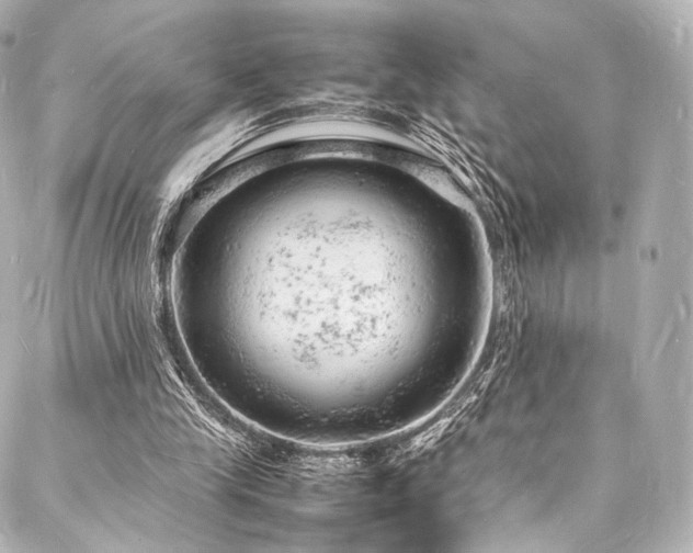 X0000088030245200705111203