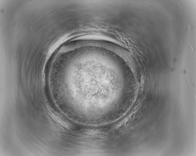 X0000088030246200705111203