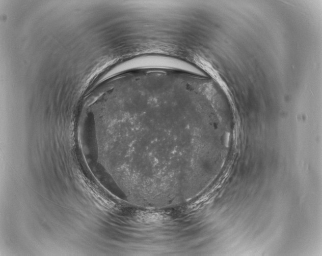 X0000088030249200705111203