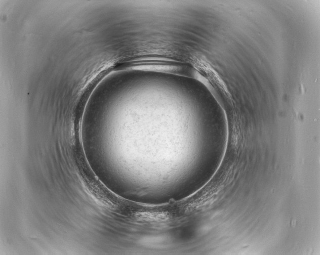 X0000088030251200705111203