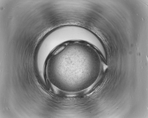 X0000088030252200705111203