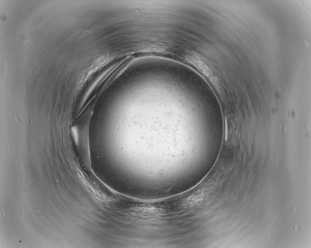 X0000088030253200705111203