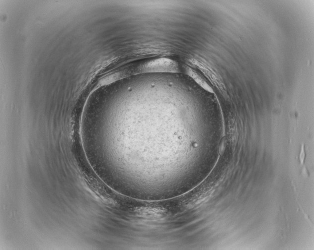 X0000088030255200705111203