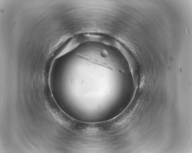 X0000088030256200705111203