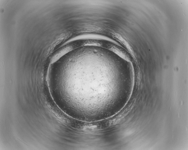 X0000088030257200705111203