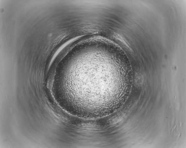 X0000088030259200705111203