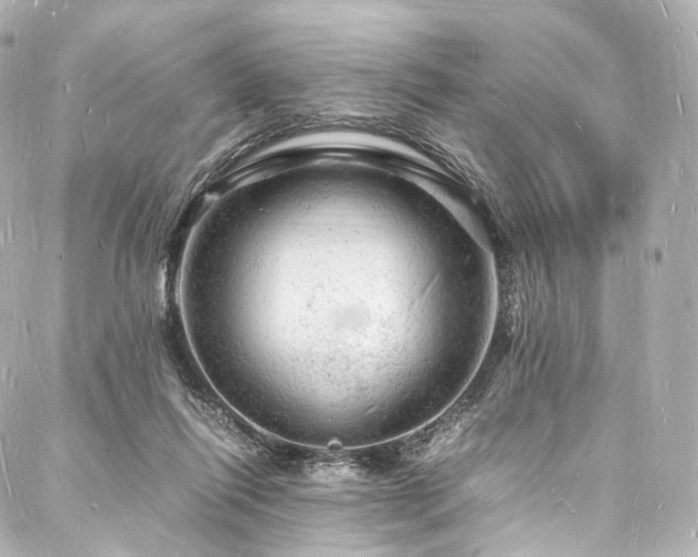 X0000088030262200705111203