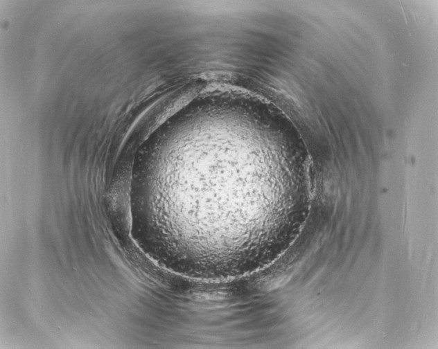 X0000088030263200705111203