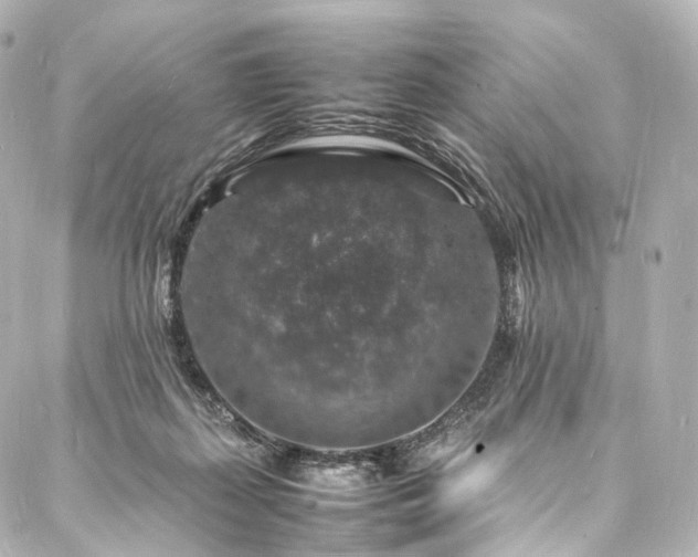 X0000088030267200705111203