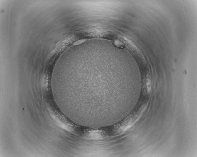 X0000088030268200705111203