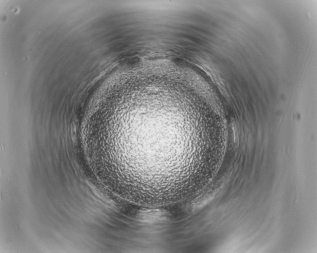 X0000088030269200705111203