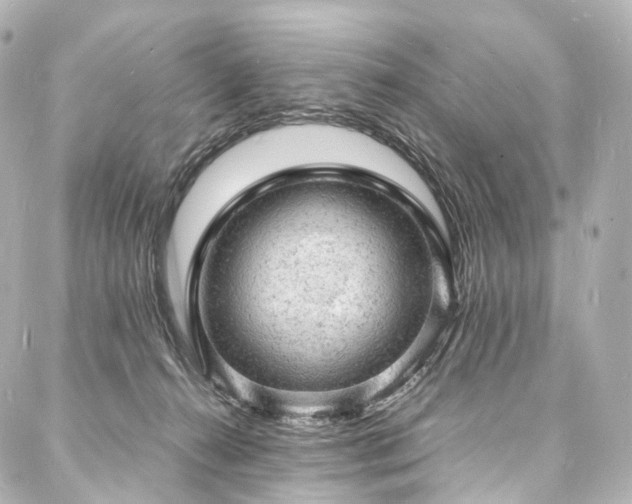 X0000088030272200705111203