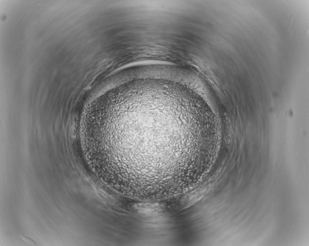 X0000088030273200705111203