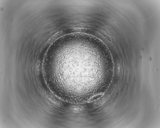 X0000088030275200705111203