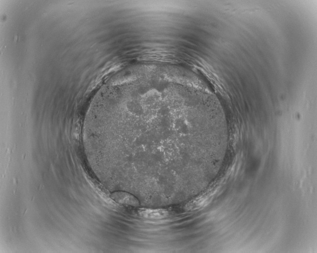 X0000088030277200705111203