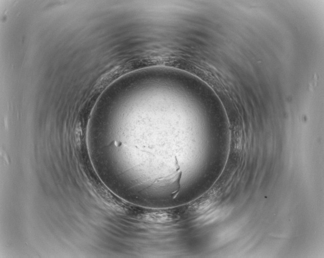 X0000088030279200705111203