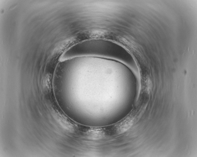 X0000088030280200705111203