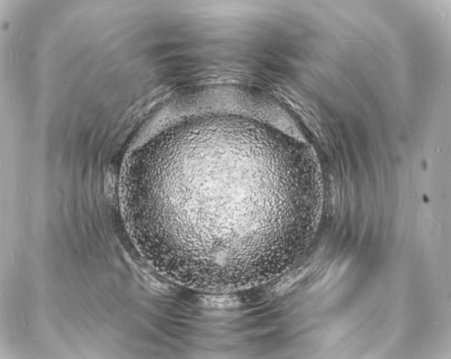 X0000088030281200705111203