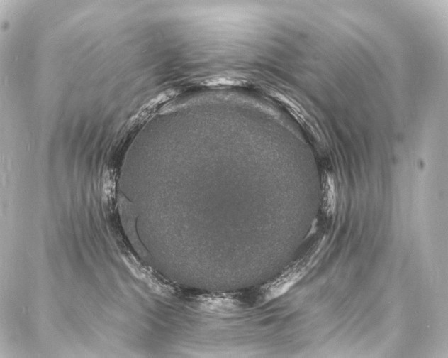 X0000088030284200705111203