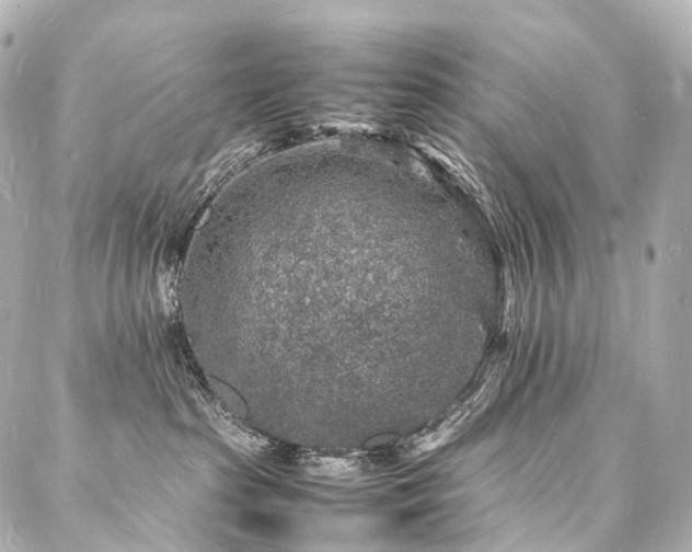 X0000088030285200705111203