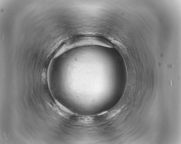 X0000088030288200705111203