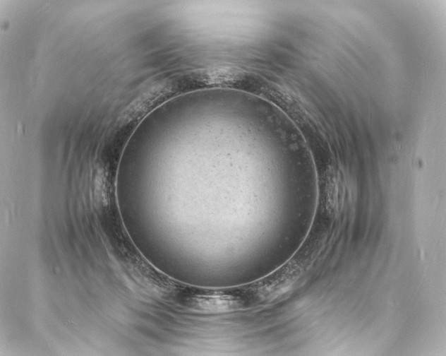 X0000088030316200705111202