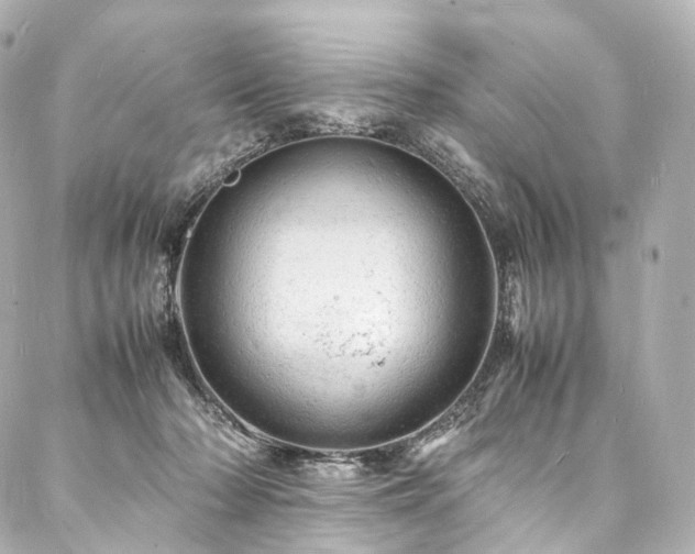 X0000088030318200705111202