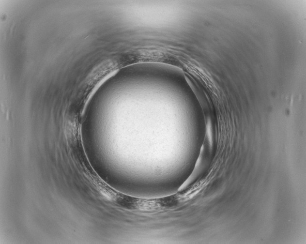 X0000088030333200705111202