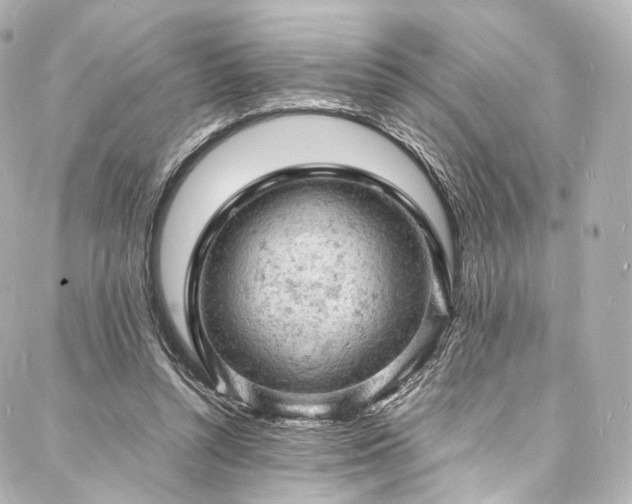 X0000088030352200705111201