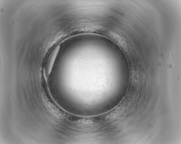 X0000088030354200705111201