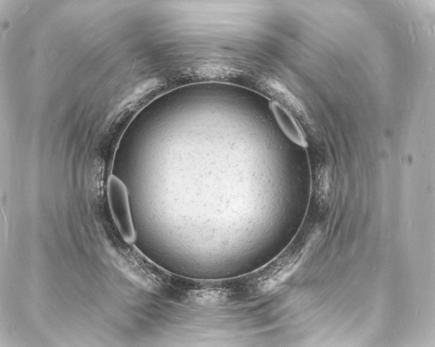 X0000088030356200705111201