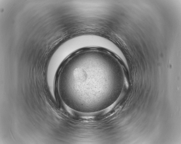 X0000088030364200705111201