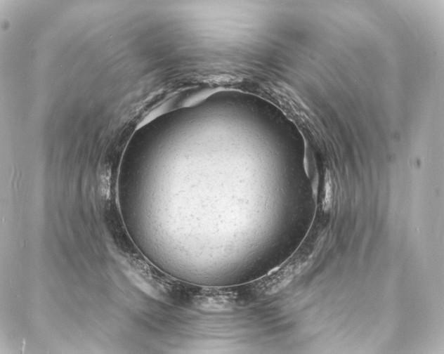 X0000088030368200705111201