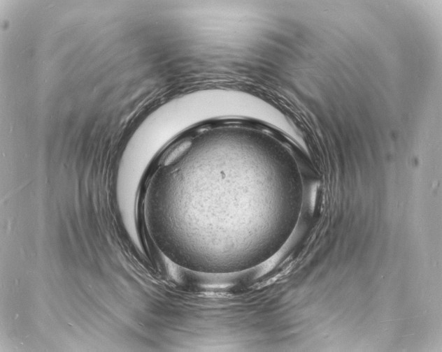 X0000088030376200705111202