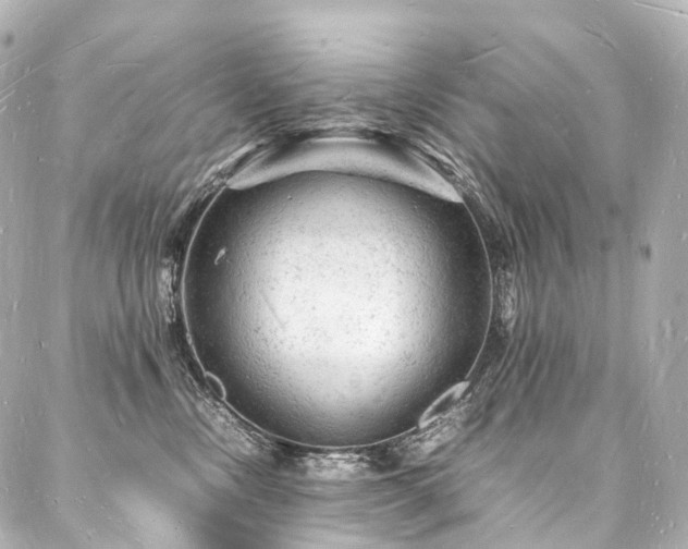 X0000088030378200705111202