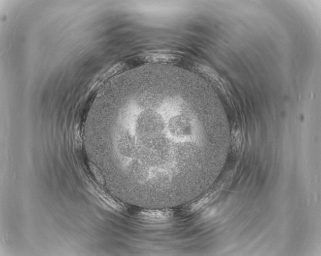 X0000088030381200705111202
