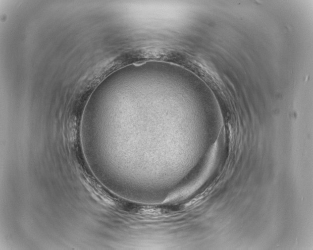 X0000088030413200705111200