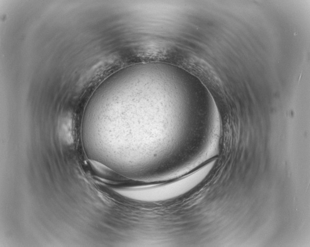 X0000088030416200705111200