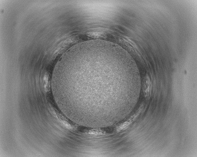 X0000088030420200705111200