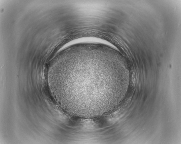 X0000088030424200705111200