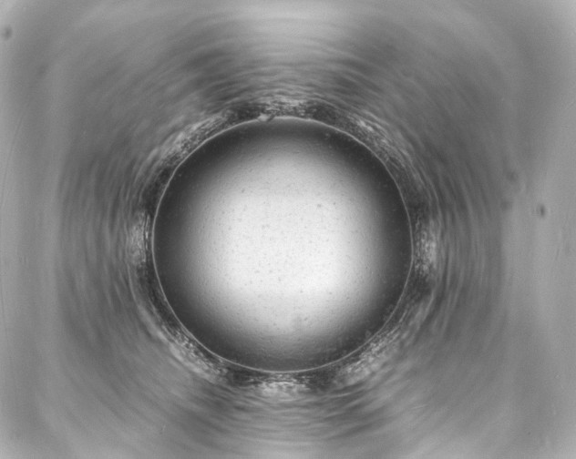 X0000088030468200705111200