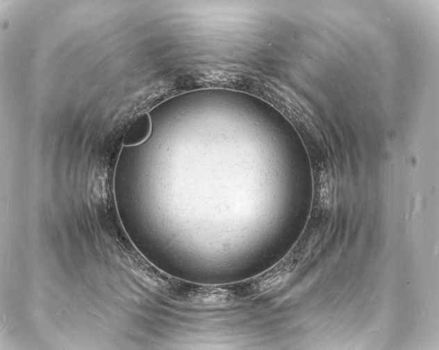 X0000088030514200705111159