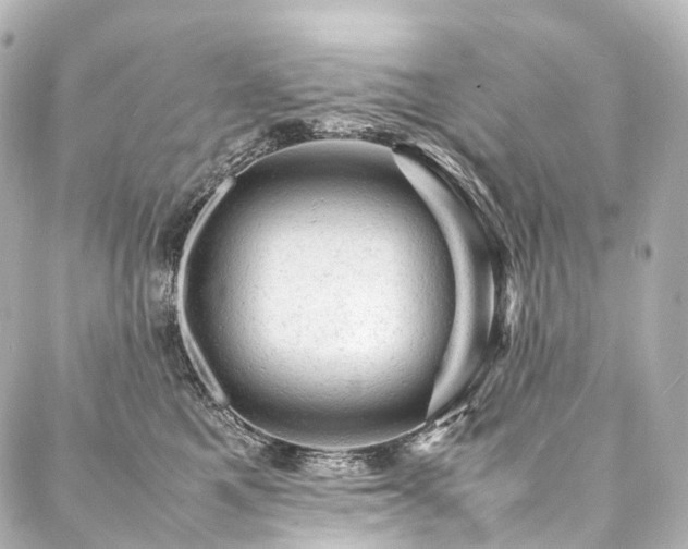 X0000088030521200705111159