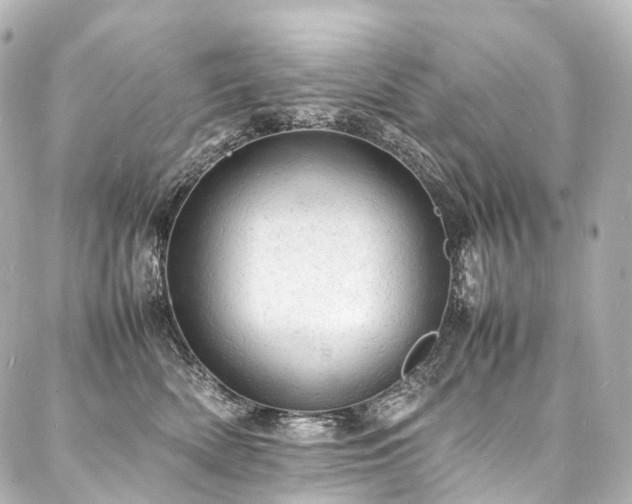 X0000088030522200705111159