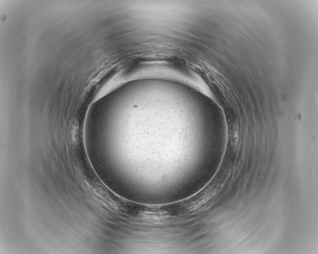 X0000088030556200705111158