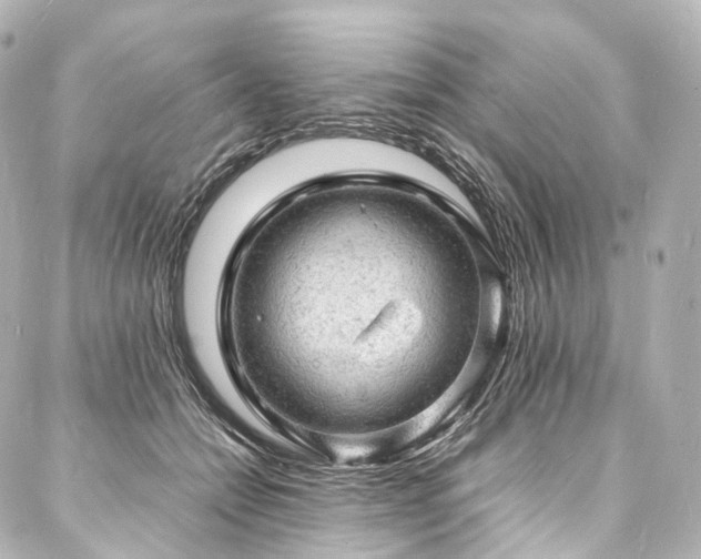 X0000088030558200705111158